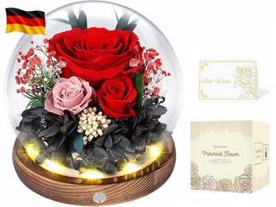 Ewige Rosen im Glas mit LED Licht, Infinity Rose, Konservierte Rosen aus echter