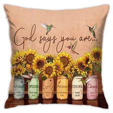 Summer Home Decor Mason Jar Hummingbirds Pillow Cover 18x18” God Says You are