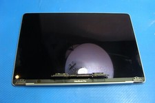 MacBook Pro 13" A2159 Mid 2019 MUHN2LL LCD Screen Assembly 661-12829 AS IS