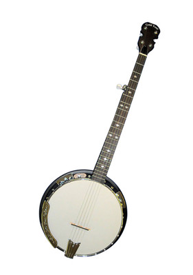 4 String Banjo Tuning: Master Tuning Your Banjo In Simple Steps | Ted's 4 String Banjo Tuning: Master Tuning Your Banjo In Simple Steps | Ted's