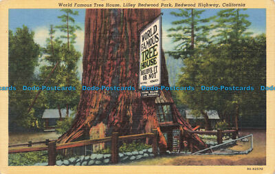 R678857 California. Redwood Highway. Redwood Park. Weltberühmtes Baumhaus. C. T