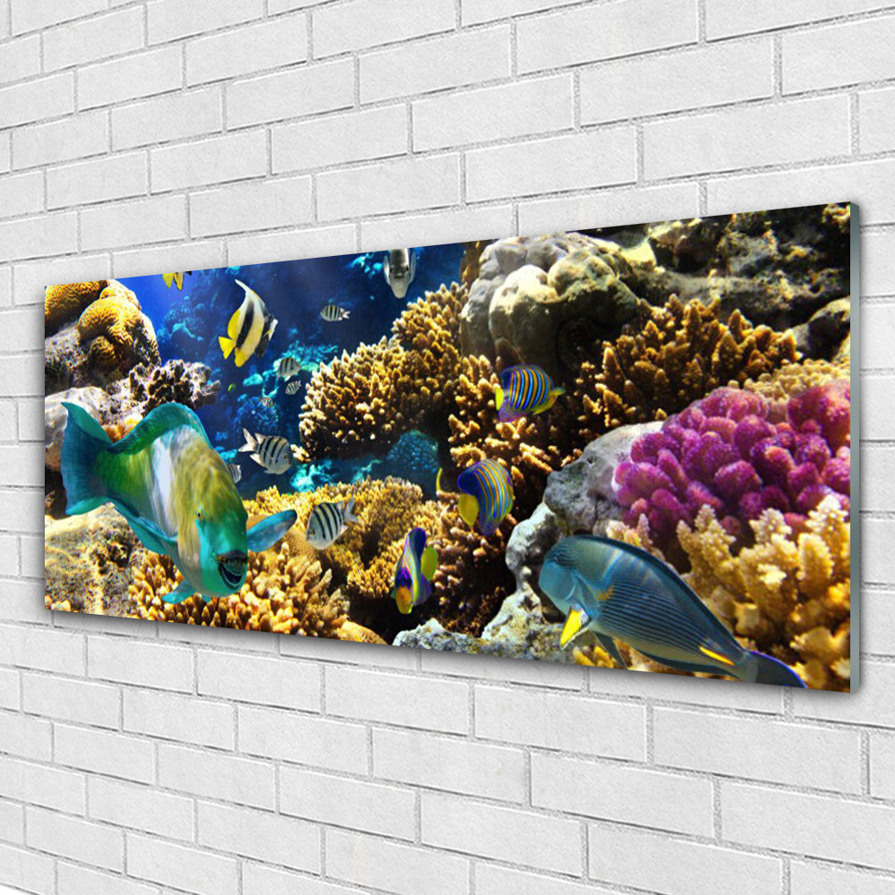 Tableau en verre Tulup Récif De Corail 125x50 cm avec finition haute clarté