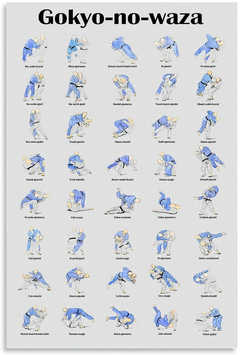 Judo Knowledge Canvas Wall Art Judo Knowledge Poster 40 Judo