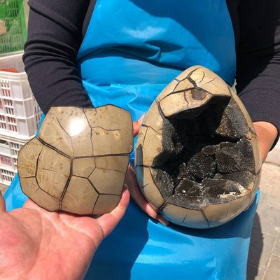 13.2LB Natural Turtle Back Stone Hole Shape Dragon Crystal Crack Gem Healing