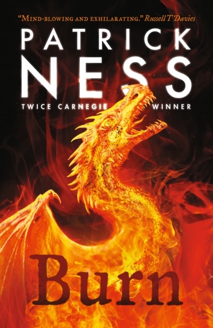Burn: A highly original, page-turning YA fantasy featuring prejudice, revenge a - Image 5