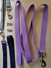 LEINE 2m, 1", 25mm Polypropylen Gurtband Pferd Pony Hund Katze