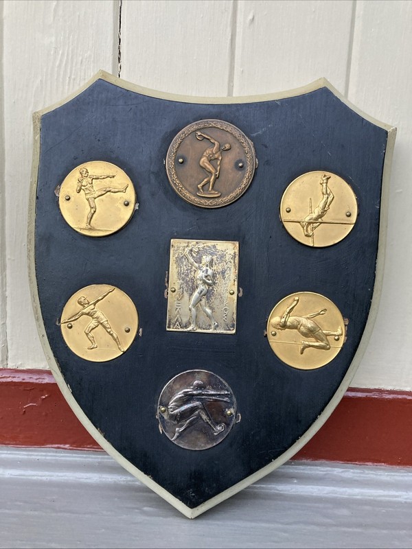7 Vintage Field Sport Medals On Wood Plaque - Dated 1960 Beautiful Display
