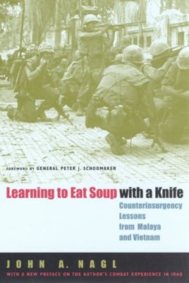 Learning To Eat Suppe mit Einem Messer: Counterinsurgency Lessons Fro