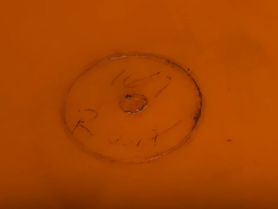 INNOVA FIRST RUN R-PRO Proto WAHOO DISTANCE DRIVER 169g Orange **FLOATS** - Image 3 of 3