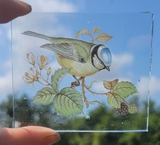 Stained Glass Blue Tit bird birds vintage Kiln fired