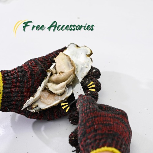 Oyster Shucker Tool Set Oyster Clam Opener Macchina Acciaio Inox con 2 Coltelli - Foto 3 di 9