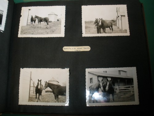 Vintage Scrapbook Photo Album 1951 (see full description & Photos) - Picture 13 of 13