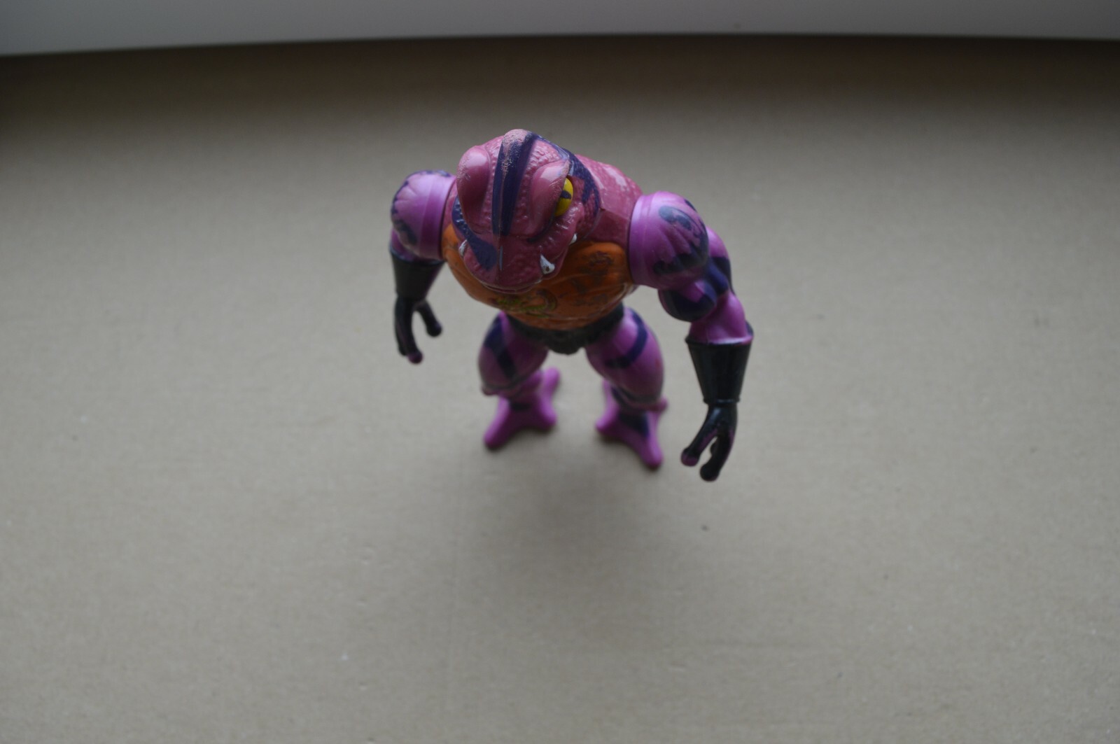 Picture 6 of 6