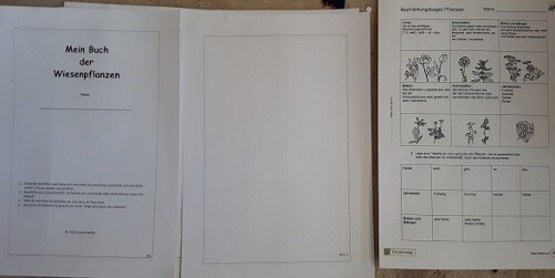 Baumjahrbuch Baum Jahreslauf Jahreszeiten Bäume Sachkunde Grundschule Montessori - Bild 4 von 11