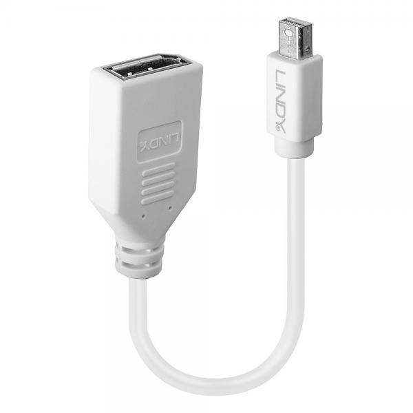 ADATTATORE MINI-DP A DP