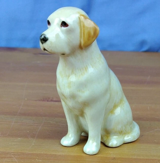 Labra dog cheap buy online