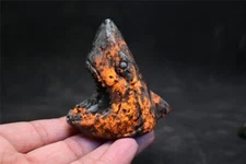 2.4'' Hand carved Natural Yooperlite Shark skull Quartz Crystal gift Healing 1PC