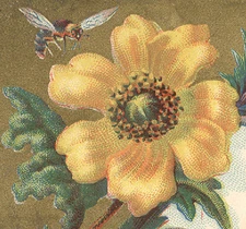 SCRANTON PA TRADE CARD, JONAS LAUER, the CLOTHIER, at 323 LACKAWANNA AVE. TTC625