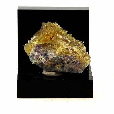 Fluorite. 113.5 Ct. La Barre, Puy-De-Dôme, France.