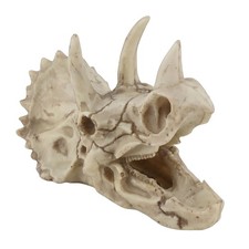 Dinosaur Triceratops Imitation Skull Model, Simulated Lifelike Dinosaur Skele...