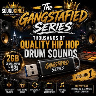Hip Hop Drum Library 2GB USB, Thousands of Sounds Hip Hop, Trap, EDM, Loops