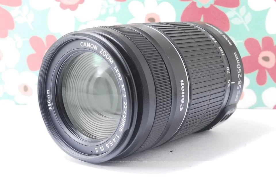 Canon EF S 55 250mm F5.6 IS II Image Stabilization - Image 2 of 4