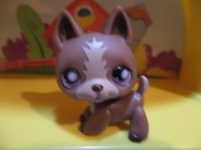 Petshop Chien Berger allemand #867