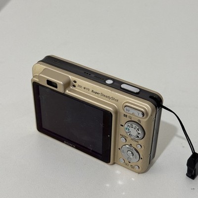 Sony Cyber-shot DSC-W170 10.1MP Digital Camera - Silver (DSC-W170