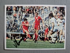 Nogly Hamburger SV Bergmann Sammelbild Fussball 80/81 Autogramm HSV