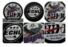 2000-01 SOUTH CAROLINA STINGRAYS ECHL RARE OFFICIAL GAME PUCK MADE IN 🇨🇦 