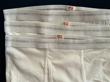 NEW - 3 Pr Men's Vtg HANES Briefs Tighty Whitey Sz 34 Red  Gray Stripe USA