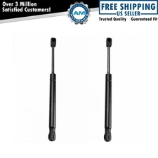 Trunk Lid Lift Support Shock Strut Set For 2009-2014 Nissan Maxima