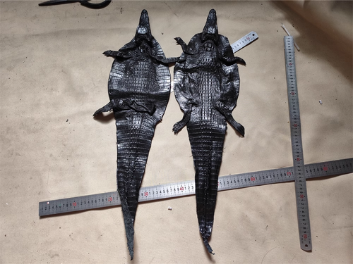 Pelle di coccodrillo vera pelle di alligatore nascondi esotica morbida pelliccia fai da te artigianato nero - Foto 3 di 12