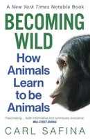 Becoming Wild | How Animals Learn To Be Animals | Carl Safina | Taschenbuch