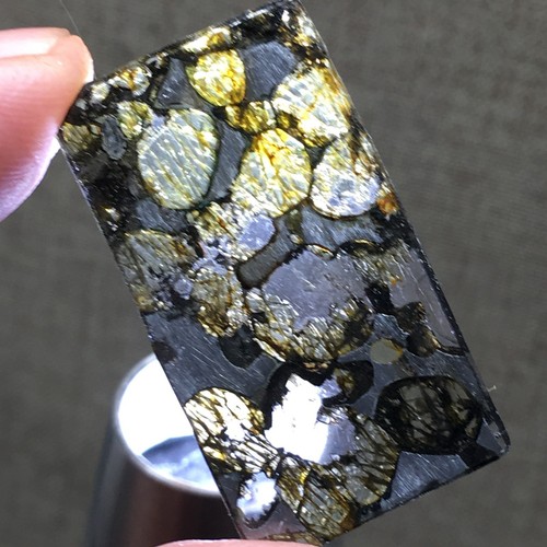 Brenham Olive Meteorit Anhänger Olive Meteorite Scheibe -- 12,35Ct