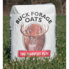 Buck Forage Oats Food Plot Seeds - 50 Lbs.