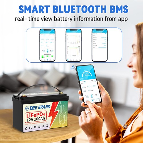 Batteria LiFePO4 12V/24V 100Ah 200Ah 300Ah litio BMS 8000+ cicli Bluetooth solar - Zdjęcie 23 z 82