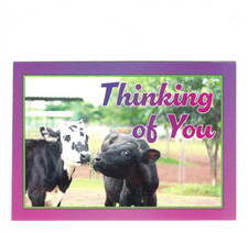 Tarjeta de felicitación en blanco, PETA, Thinking of You, Cows, Diya, Tiya sin usar con sobre