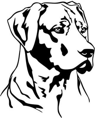 RHODESIAN RIDGEBACK Aufkleber -   Autoaufkleber - sticker - Ridgeback Kopf #31 - Bild 1 von 3