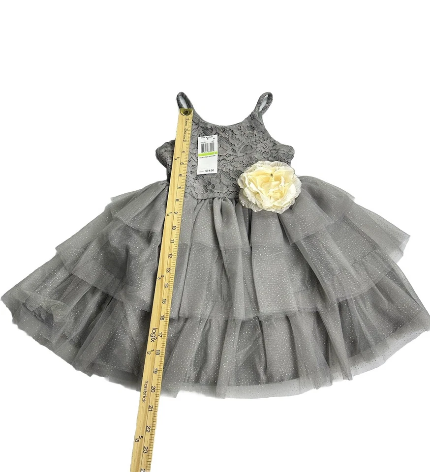 Pink & Violet Dress Baby Girls Size 4 Holiday Outfit Tiered Lace Dress Gray NWT - Image 4 of 4