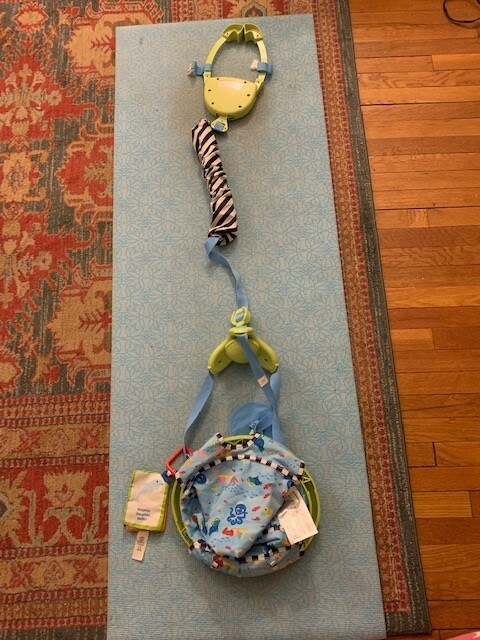 Baby Einstein - Door Jumper Bouncer & Mat (Pre-Owned)