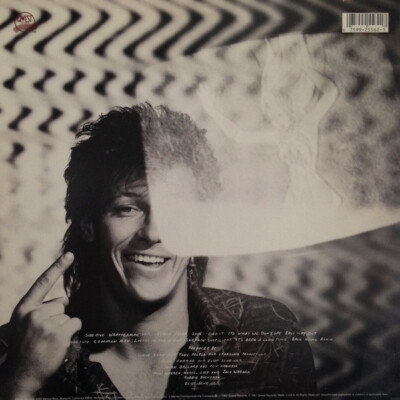 洋楽 Jack Wagner/Don't Give Up Your Day AOR Jack Wagner Don't Give Up Your Day Job LP, Album 1987 (NM- / VG
