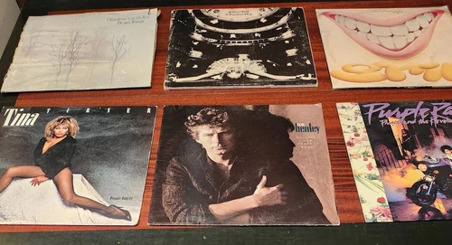 Lot 49 -Six Rock / Pop albums -60's, 70's, 80's -used-Tina Turner, Prince