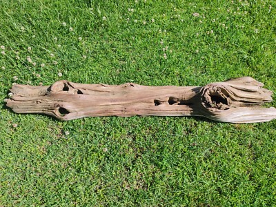 4ft Long All Natural Cypress Driftwood Piece For Sale