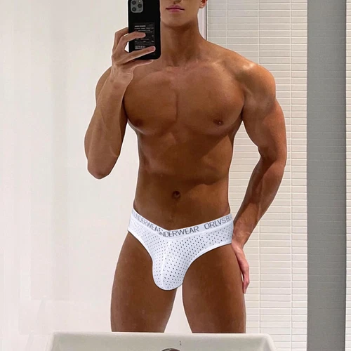 Breathable Men's Mesh Tanga Brief Sexy Low-rise Bulge Pouch Hipsters Underwear