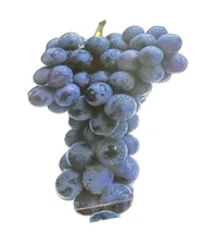 1970s Grocery Store Cardboard Display Grape Decoration