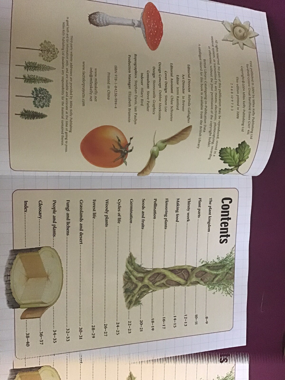 Picture 5 of 9
