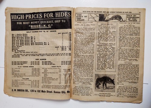 1918 Vintage Trappers Exchange Furs Hides E.W Biggs Kansas City Missouri 31 Page - Picture 9 of 18
