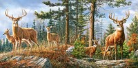 Puzzle (4000 T.) Hirschfamilie Im Wald (Castorland) Neu/Ovp