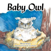 Brent Foster | Baby Owl | Taschenbuch | Englisch (2021) | AuthorHouse